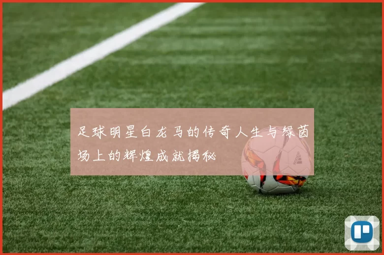 足球明星白龙马的传奇人生与绿茵场上的辉煌成就揭秘