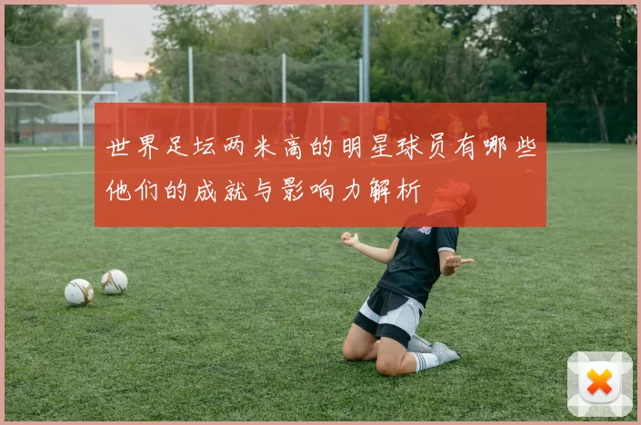 世界足坛两米高的明星球员有哪些他们的成就与影响力解析