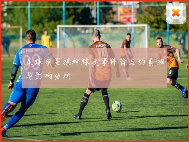 足球明星挑衅球迷事件背后的真相与影响分析
