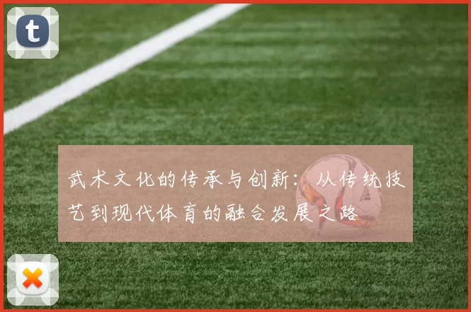 武术文化的传承与创新：从传统技艺到现代体育的融合发展之路