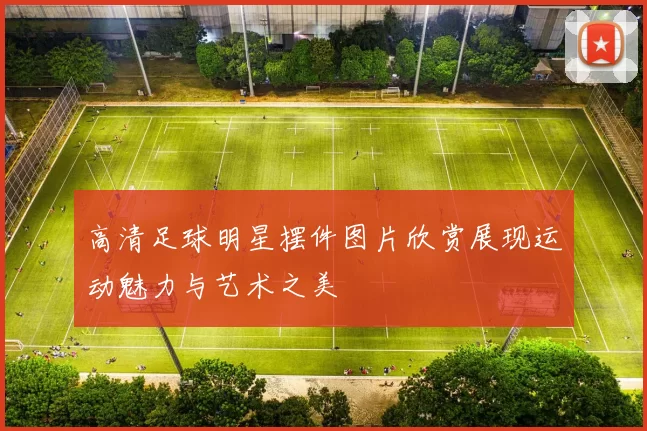 高清足球明星摆件图片欣赏展现运动魅力与艺术之美